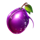 double jewel hold and win plum symbol icon