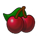 double up cherry symbol icon