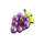 dozen jackpots grape symbol icon