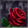 draculas gems rose symbol icon