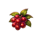 draculatte 7s coffe beans symbol icon