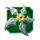 dragon duello green shuriken symbol icon
