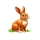 dragon power 10000 ways rabbit symbol icon