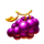 dragons coin hold and win grape symbol icon