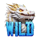 dragons fate wild symbol icon