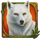 druids dream 1 icon