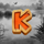 duck hunt 500 k symbol icon