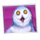 dumb and dumber route to riches owl symbol icon