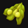 duolitos garden beans symbol icon