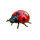 easter eggs jackpot ladybug symbol icon
