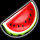 egt digital 40 super hot melon symbol icon