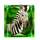 elephant king zebra symbol icon