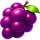 elite coin grape symbol icon