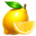 elite coin lemon symbol icon