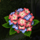 enchanted garden ii floawers symbol icon