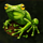 enchanted garden ii frog symbol icon