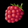 enchanted kingdom raspberry symbol icon