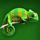 epic ape chameleon symbol icon