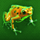 epic ape frog symbol icon
