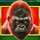 epic ape gorilla symbol icon