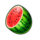 epic clover 40 booster watermelon symbol icon