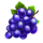 epic crown 10 booster grapes symbol icon
