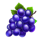 epic crown 5 booster grapes symbol icon