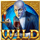 eternal desire wild4 symbol icon