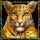 exploration amazon leopard symbol icon