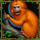 exploration amazon orangutans symbol icon