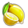 extra crown classic buy bonus lemon symbol icon