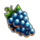 extra crown deluxe grapes symbol icon