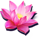 fa fa tree lotus symbol icon