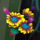fairy dust xtreme flower symbol icon