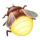 fairy pixie fire yellow firefly symbol icon