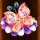 fairytale forest quik butterfly symbol icon