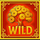 feng shui fortune wild symbol icon