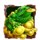 feng shui master toad symbol icon