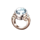 filthy stinkin rich ring symbol icon
