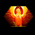 fire burst phoenix fire phoenix symbol icon
