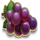 fire joker blitz grapes symbol icon