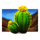 fire stampede cactus symbol icon
