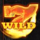 fire vs ice wild symbol 1 icon