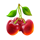 firebird 27 cherries symbol icon
