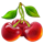 firebird double 27 1000x cherries symbol icon