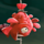 fishin impossible red fish symbol icon