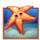 fishin reels starfish symbol icon