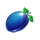 five star plum symbol icon