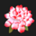 floras secret rose symbol icon