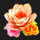 floras secret roses symbol icon